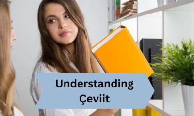 Understanding Çeviit